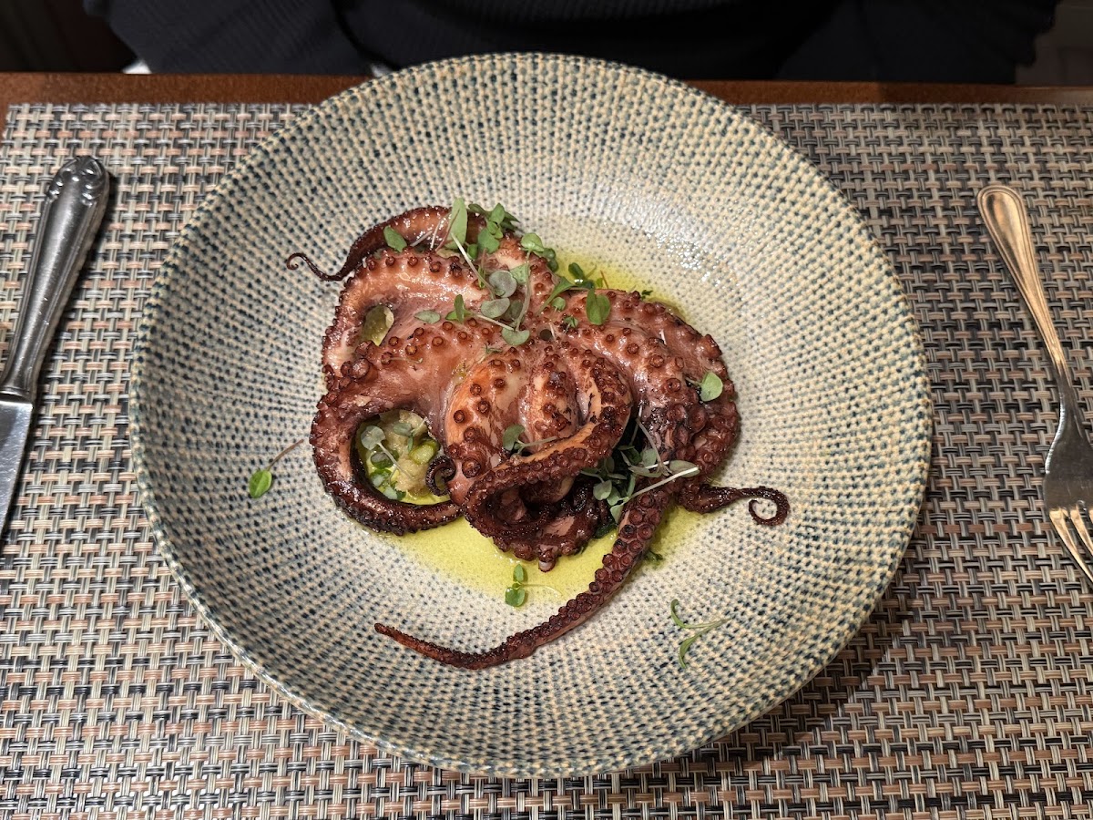 Polvo grelhado com azeite e ervas